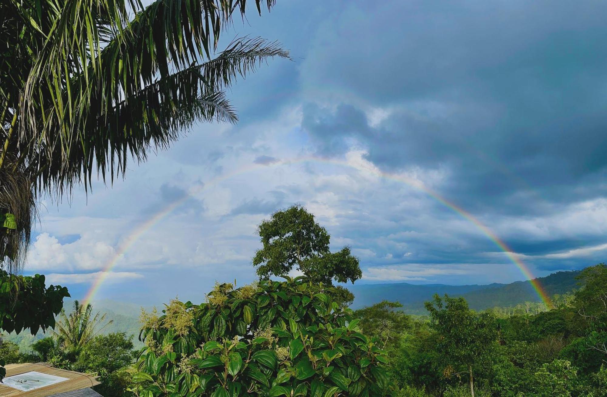 Heimatlos Amazon Lodge Пуйо Екстер'єр фото