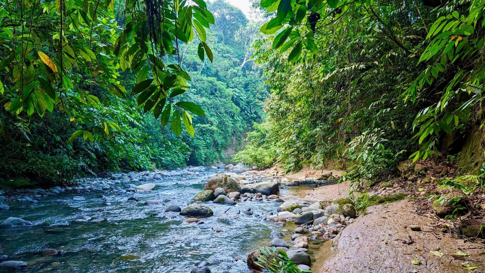 Heimatlos Amazon Lodge Пуйо Екстер'єр фото