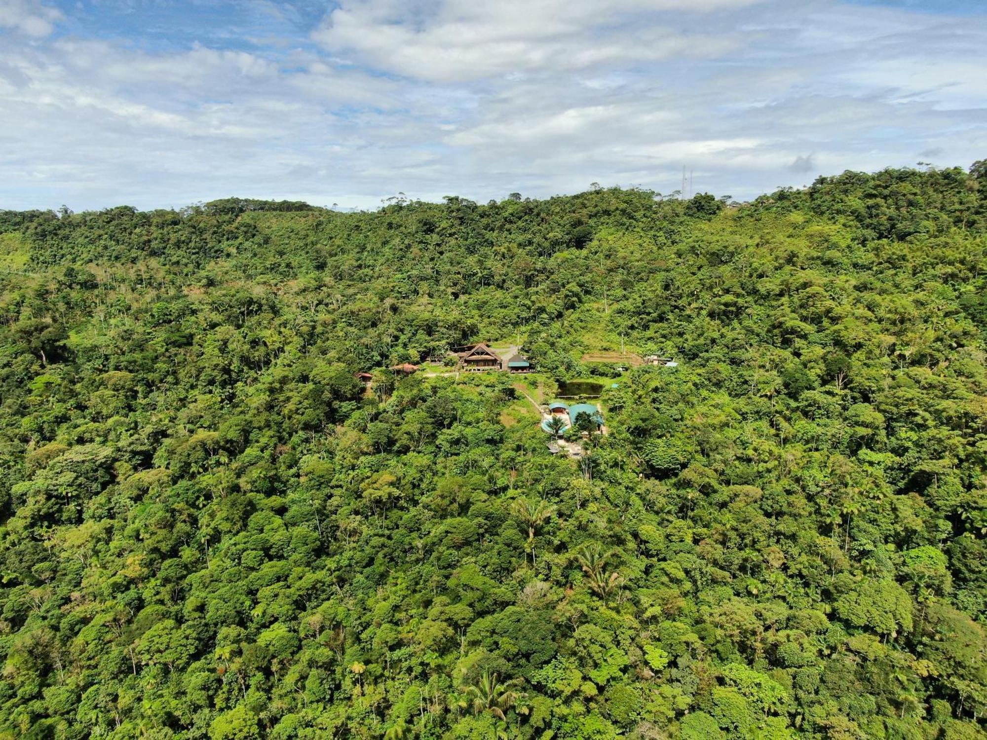 Heimatlos Amazon Lodge Пуйо Екстер'єр фото